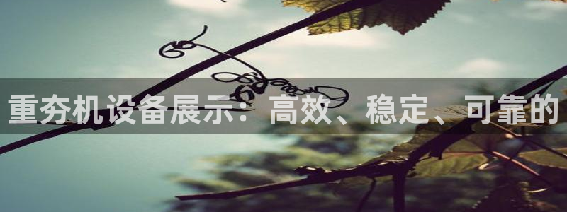 清远顺盈娱乐怎么样