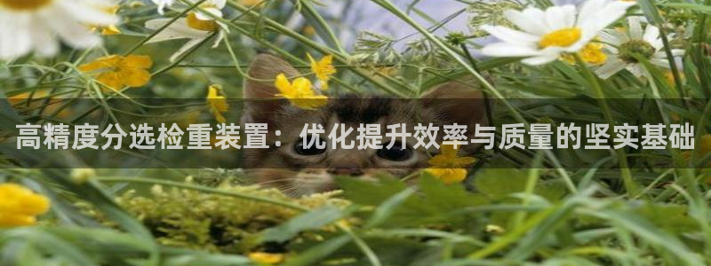 清远顺盈娱乐集团电话