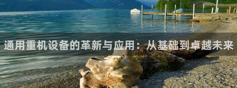清远顺盈游戏娱乐：通用重机设备的革新与应用：从基础到卓越未来