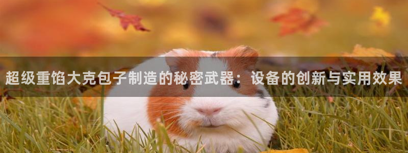 顺盈娱乐下载安装最新版