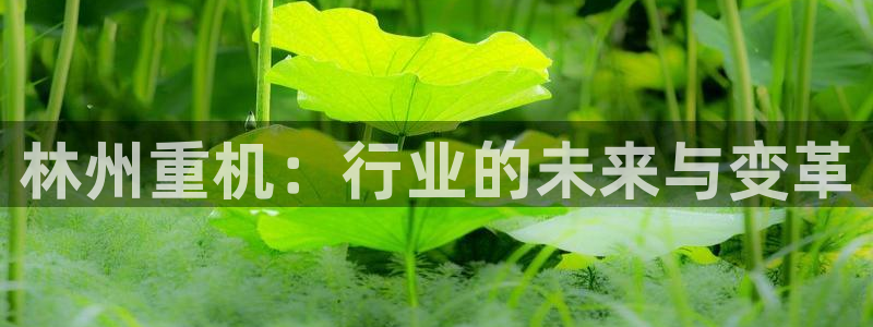 清远顺盈广场娱乐