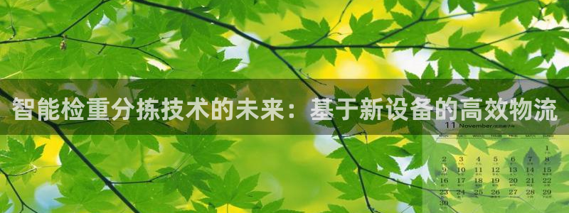 顺盈注册娱乐：智能检重分拣技术的未来：基于新设备的高效物流