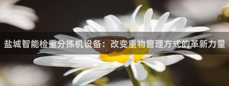 顺盈娱乐官网首页：盐城智能检重分拣机设备：改变重物管理方式的