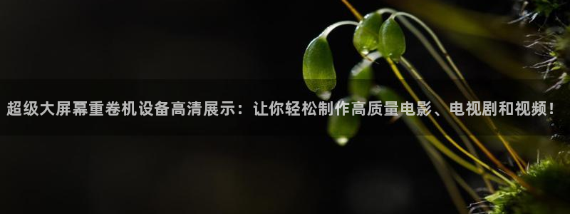 顺盈娱乐28是什么?：超级大屏幕重卷机设备高清展示：让你轻松