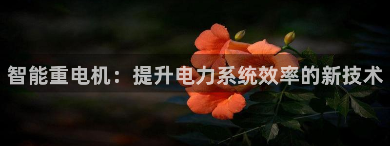 顺盈娱乐在线注册网址：智能重电机：提升电力系统效率的新技术