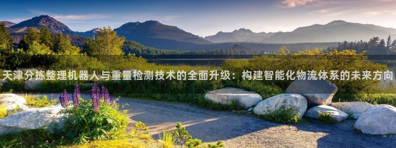顺盈娱乐主管欲新判官333OO：天津分拣整理机器人与重量检测