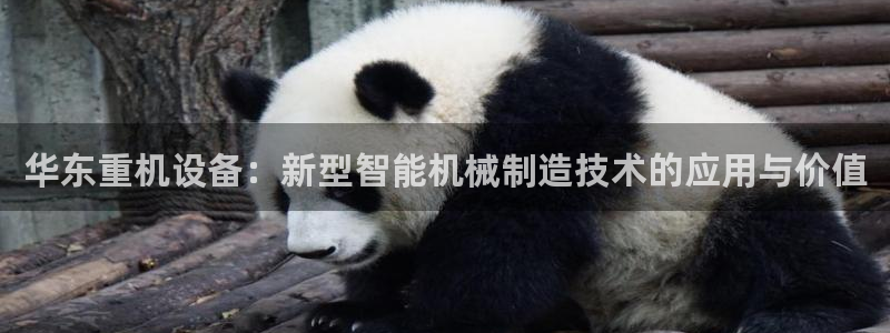 顺盈娱乐在线开户流程：华东重机设备：新型智能机械制造技术的应
