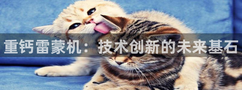 顺盈彩票娱乐
