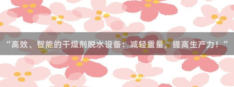顺盈2娱乐滴qv382223：“高效、智能的干燥剂脱水设备：