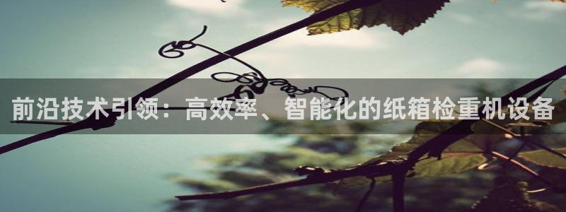 顺盈时代广场休闲娱乐：前沿技术引领：高效率、智能化的纸箱检重