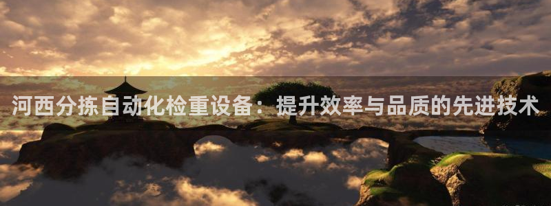 顺盈娱乐登录地址在哪儿：河西分拣自动化检重设备：提升效率与品
