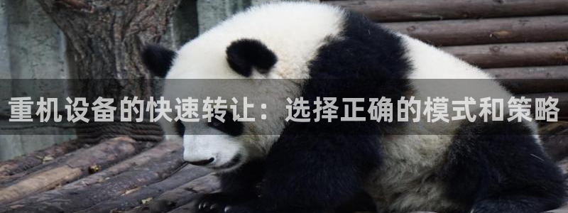 顺盈娱乐下载安装官方网：重机设备的快速转让：选择正确的模式和