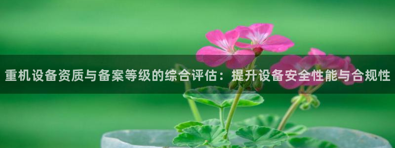 顺盈娱乐下载手机版：重机设备资质与备案等级的综合评估：提升设