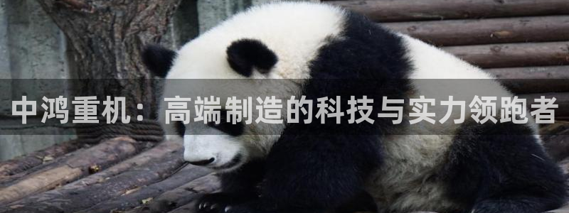 顺盈2娱乐主管是谁：中鸿重机：高端制造的科技与实力领跑者