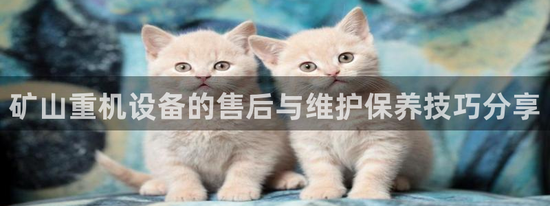 顺盈娱乐主管=天神779O3：矿山重机设备的售后与维护保养技