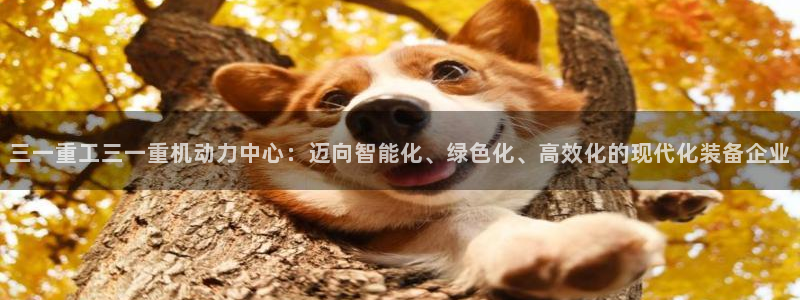 顺盈娱乐平台官网