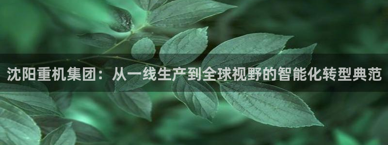 顺盈娱乐福彩