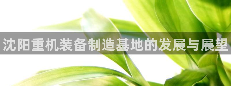 顺盈娱乐行求威判官333OO
