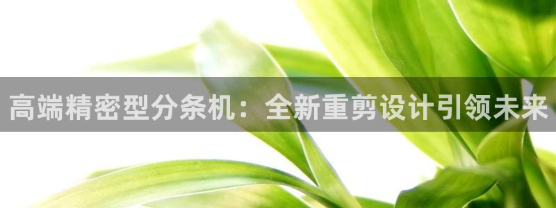 顺盈娱乐