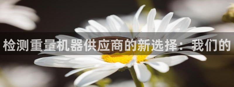 清远顺盈娱乐公司怎么样：检测重量机器供应商的新选择：我们的