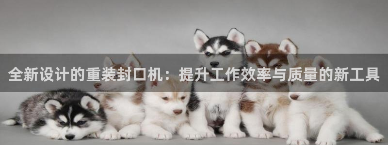 顺盈娱乐主管去判官333OO