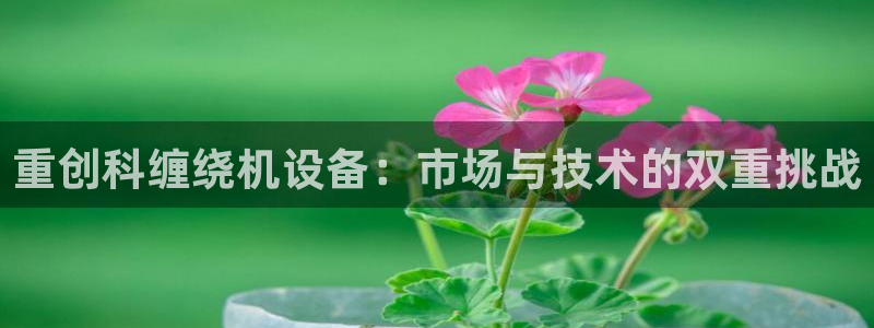 顺盈娱乐注册平台是什么：重创科缠绕机设备：市场与技术的双重挑