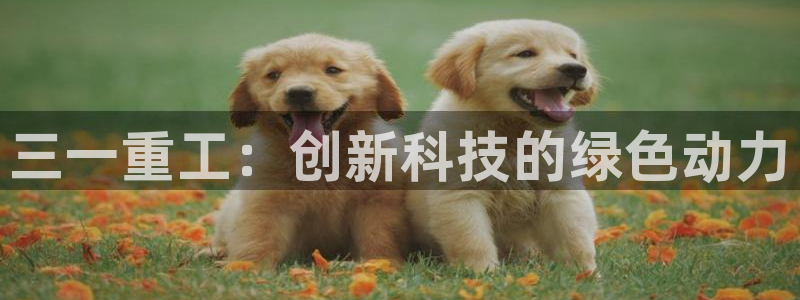 顺盈娱乐平台下载