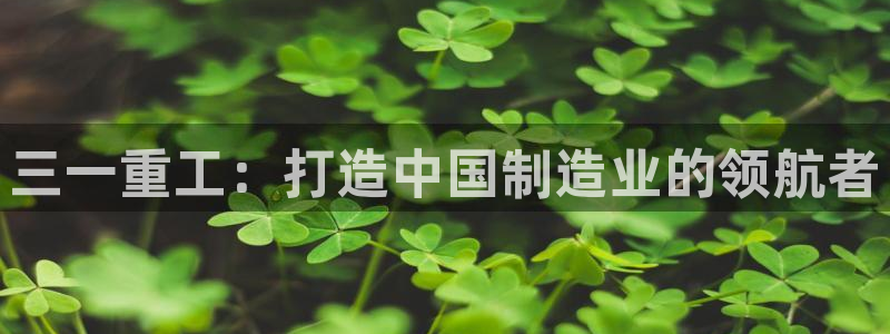 顺盈娱乐市究7276O