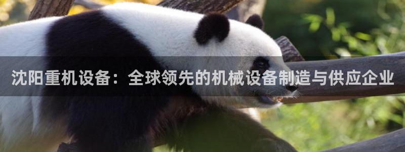 顺盈娱乐最高代理是谁