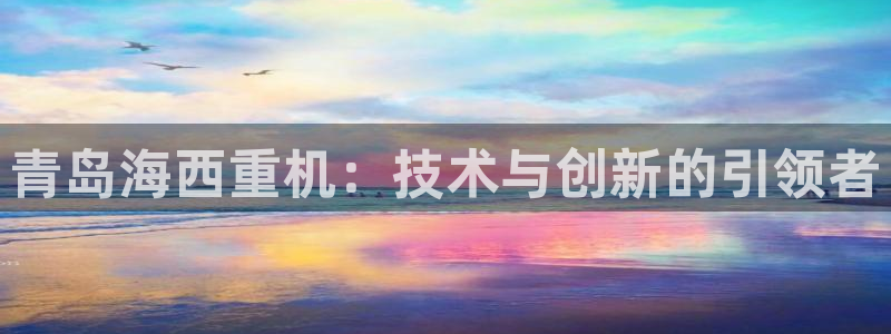 顺盈平台娱乐怎么样啊：青岛海西重机：技术与创新的引领者