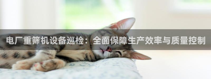 顺盈娱乐下载安装