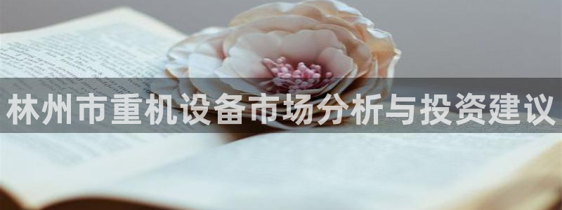 顺盈娱乐最高代理是谁