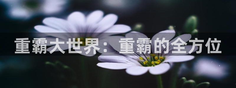 顺盈2娱乐382223：重霸大世界：重霸的全方位