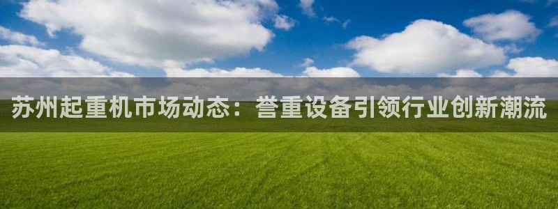 顺盈2娱乐主管是谁：苏州起重机市场动态：誉重设备引领行业创新