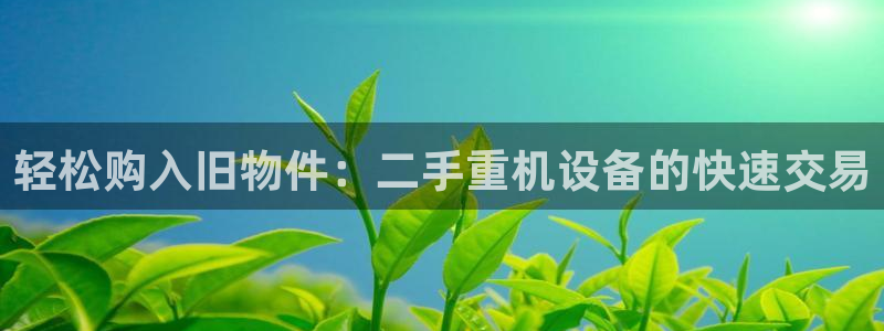 顺盈娱乐那家公司旗下：轻松购入旧物件：二手重机设备的快速交易