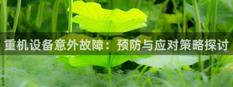 顺盈娱乐招商网判官333OO：重机设备意外故障：预防与应对策
