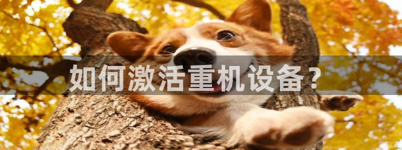 顺盈娱乐铜333OO：如何激活重机设备？