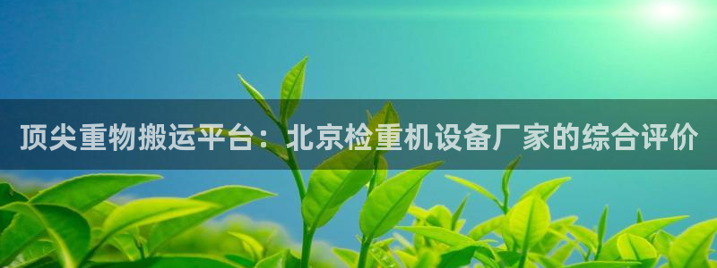 顺盈2娱乐注册：顶尖重物搬运平台：北京检重机设备厂家的综合评
