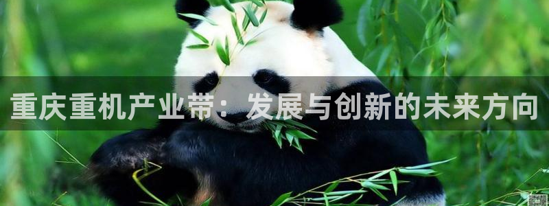 顺盈娱乐下载