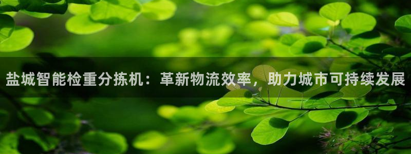 顺盈娱乐平台注册条件：盐城智能检重分拣机：革新物流效率，助力