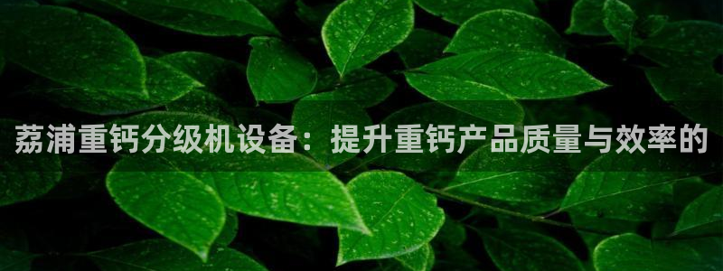 盈顺棋牌娱乐室地址电话：荔浦重钙分级机设备：提升重钙产品质量