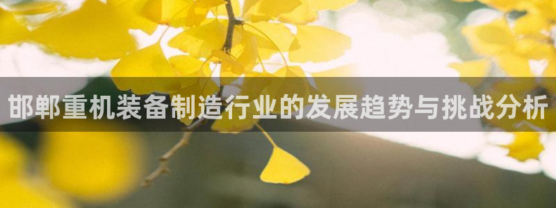 顺盈娱乐团购：邯郸重机装备制造行业的发展趋势与挑战分析