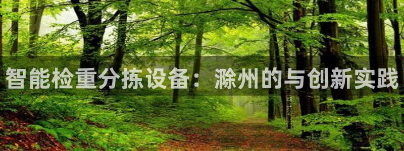 顺盈娱乐官网登录：智能检重分拣设备：滁州的与创新实践