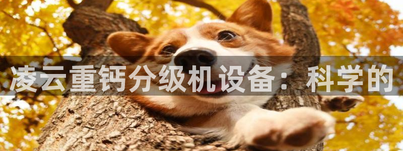顺盈时代广场娱乐城