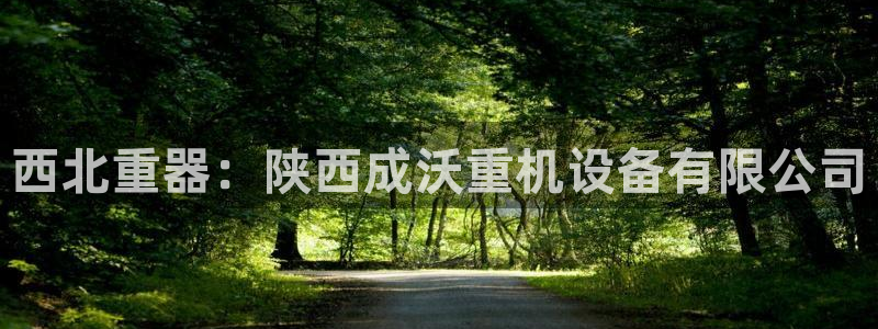 顺盈平台娱乐