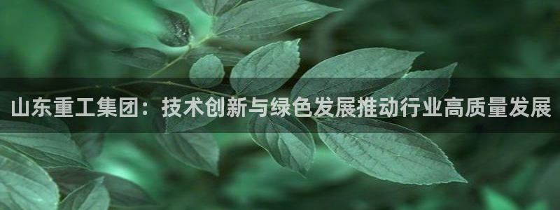 顺盈娱乐团购