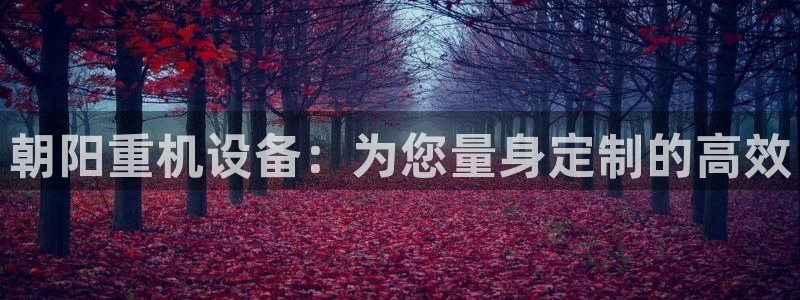 顺盈娱乐qv87555：朝阳重机设备：为您量身定制的高效