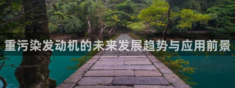 顺盈娱乐代理怎么样了啊：重污染发动机的未来发展趋势与应用前景