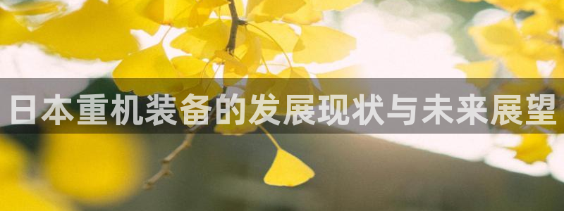 顺盈娱乐主管监判官333OO