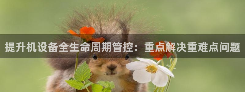 清城区顺盈娱乐